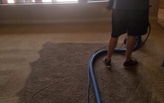 Using a Carpet Cleaner in Gilbert AZ