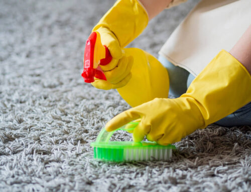 AZ Carpet Cleaning – The Ultimate Guide to Carpet Cleaning: Tips and Tricks for a Fresh and Clean Home